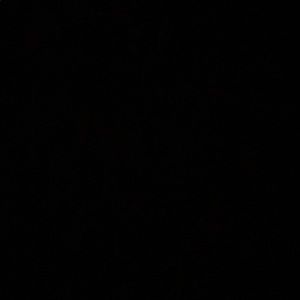 Meet your Posher, Evelyn